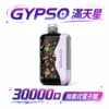 GYPSO 滿天星 30000口 拋棄式 18ml 澎湃油量 14W-21W雙模式雙功率 極速Type-C快充 850mAh巔峰續航拋棄式 全台現貨秒發